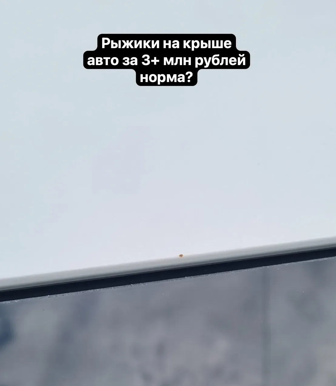 Появился первый "рыжик" на Монжаро спустя 10 тыс км